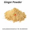 organic  ginger powder  for sale
